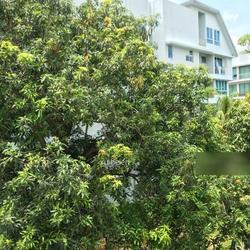 Kovan Road (D19), Apartment #114743212